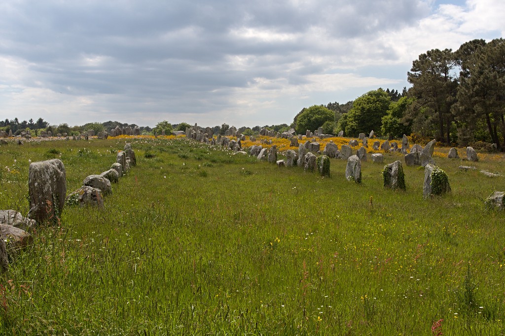 Megalithes megalieten megaliet carnac monteneuf champ dolent bretagne france frankrijk menhir obelix hdr menhirs morbihan asterix